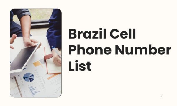 Brazil Cell Phone Number List