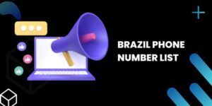 Brazil Phone Number List