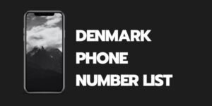 Denmark Phone Number List