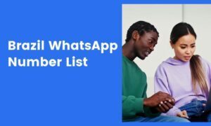 Brazil WhatsApp Number List