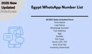 Egypt WhatsApp Number List