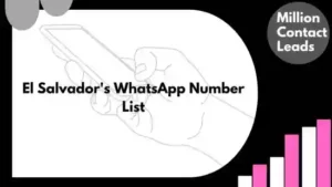 El Salvador's WhatsApp Number List